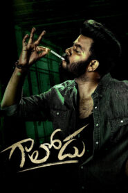Gaalodu (2022) Watch HD Movies