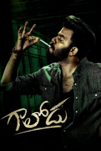 Gaalodu (2022) Watch HD Movies