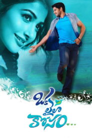 Oka Laila Kosam (2014) Watch HD Movies