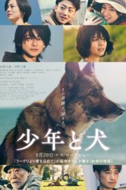 The Boy and the Dog (2025) Watch HD Movies