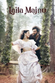 Laila Majnu (2018) Watch HD Movies