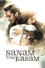 Sanam Teri Kasam (2016) Watch HD Movies