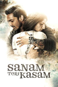 Sanam Teri Kasam (2016) Watch HD Movies