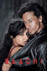 Baaghi (2016) Watch HD Movies