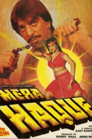 Mera Haque (1986) Watch HD Movies