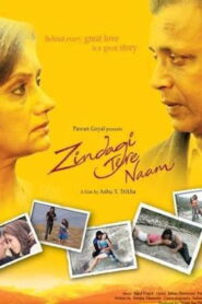 Zindagi Tere Naam (2012) Watch HD Movies