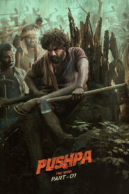 Pushpa: The Rise (2021) Watch HD Movies