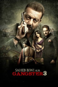 Saheb, Biwi Aur Gangster 3 (2018) Watch HD Movies