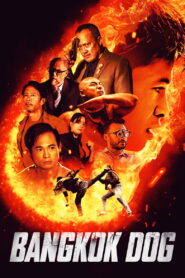 Bangkok Dog (2024) Watch HD Movies