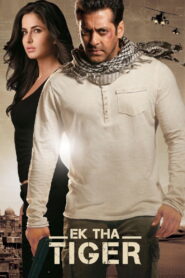 Ek Tha Tiger (2012) Watch HD Movies