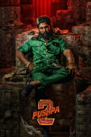 Pushpa 2 – The Rule (2024) Watch HD Movies