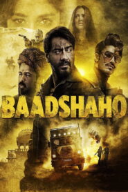 Baadshaho (2017) Watch HD Movies