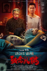 Reborn (2025) Watch HD Movies