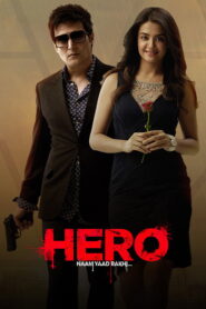 Hero Naam Yaad Rakhi (2015) Watch HD Movies