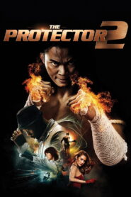 The Protector 2 (2013) Watch HD Movies
