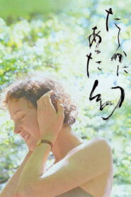 Yakushima’s Illusion (2025) Watch HD Movies