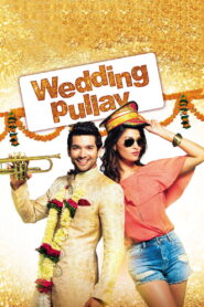 Wedding Pullav (2015) Watch HD Movies