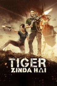 Tiger Zinda Hai (2017) Watch HD Movies