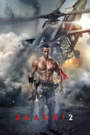 Baaghi 2 (2018) Watch HD Movies