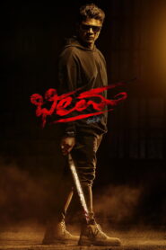 Bheema (2024) Watch HD Movies