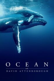 Ocean with David Attenborough (2025) Watch HD Movies