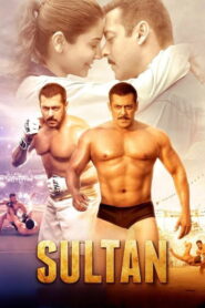 Sultan (2016) Watch HD Movies