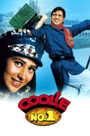 Coolie No. 1 (1995) Watch HD Movies