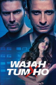 Wajah Tum Ho (2016) Watch HD Movies
