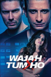 Wajah Tum Ho (2016) Watch HD Movies