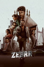 Zebra (2024) Watch HD Movies