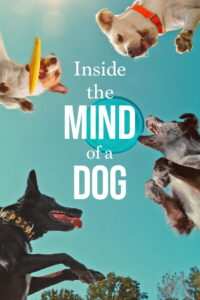 Inside the Mind of a Dog (2024) Watch HD Movies