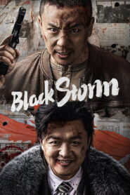 Black Storm (2024) Watch HD Movies