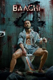 Baaghi 4 (2025) Watch HD Movies