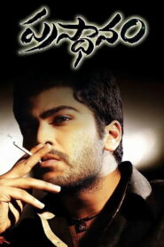 Prasthanam (2010) Watch HD Movies