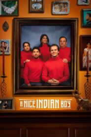 A Nice Indian Boy (2025) Watch HD Movies