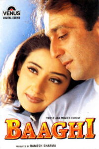 Baaghi (2000) Watch HD Movies