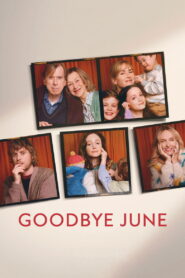 Goodbye June (2025) Watch HD Movies
