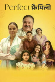 Perfect Family (2025) Watch full HD Series