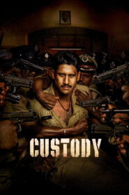 Custody (2023) Watch HD Movies